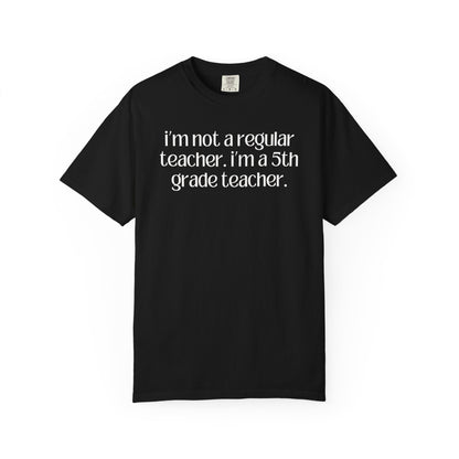 Fifth Grade Teacher
