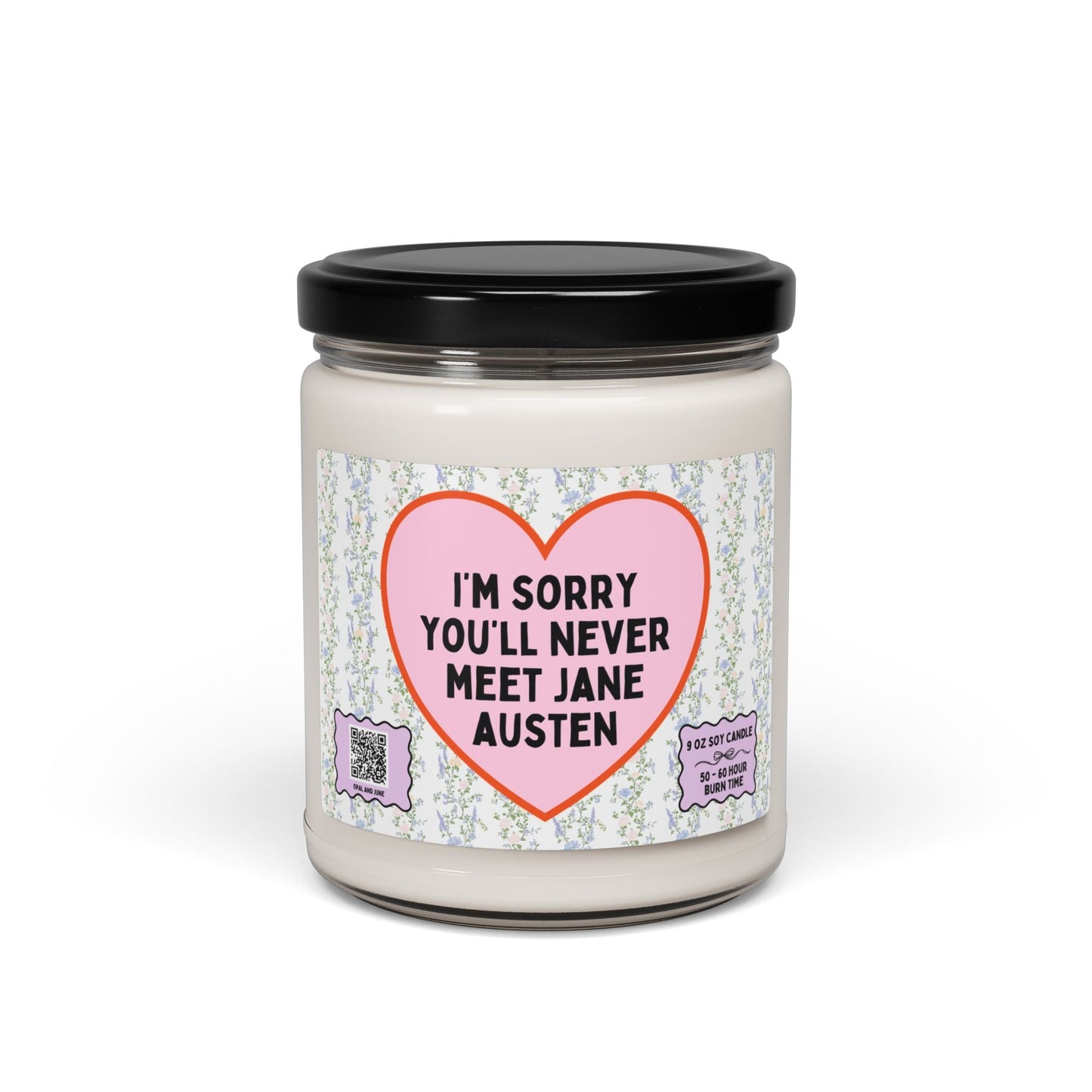 I'm Sorry You'll Never Meet Jane Austen