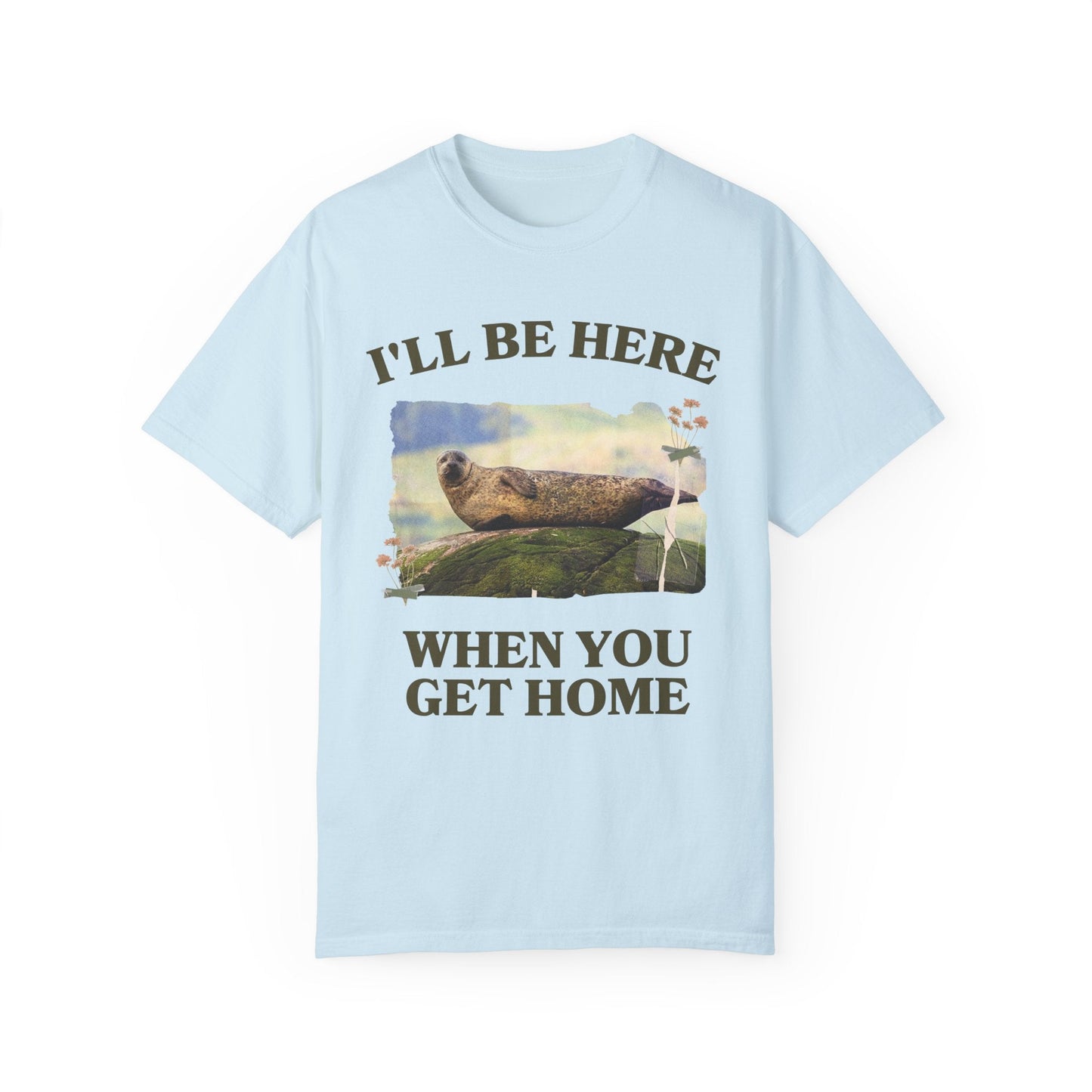 Funny and Cozy Shirt for Cool Homebody