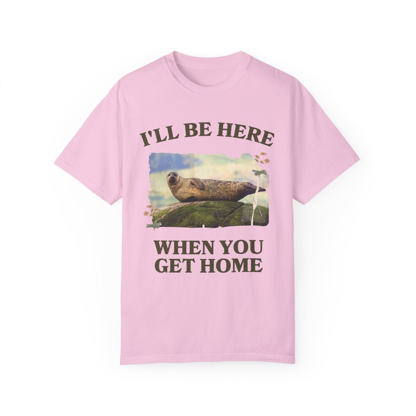 Funny and Cozy Shirt for Cool Homebody
