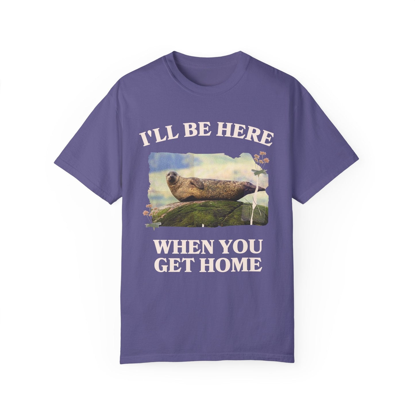 Funny and Cozy Shirt for Cool Homebody