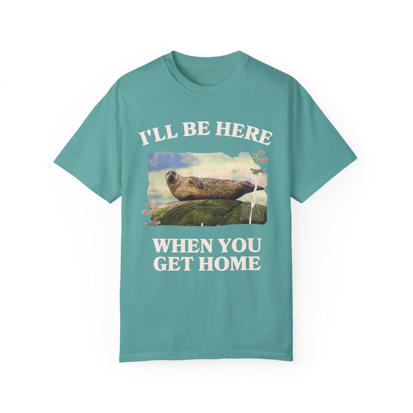 Funny and Cozy Shirt for Cool Homebody