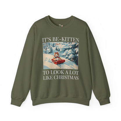 Funny Christmas Cat Lover Sweatshirt
