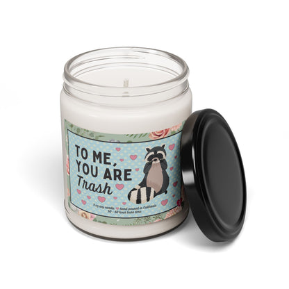 Funny Raccoon Candle