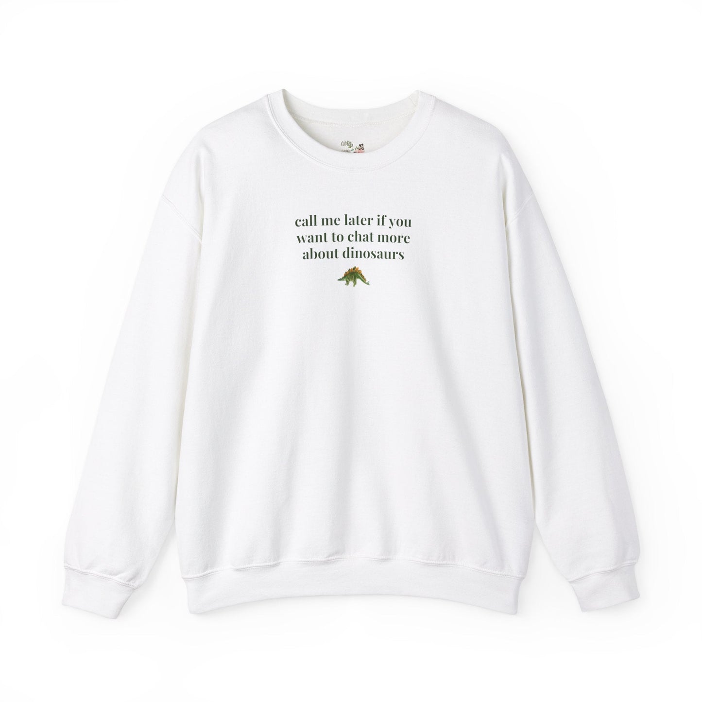 Funny Dinosaur Lover Sweatshirt