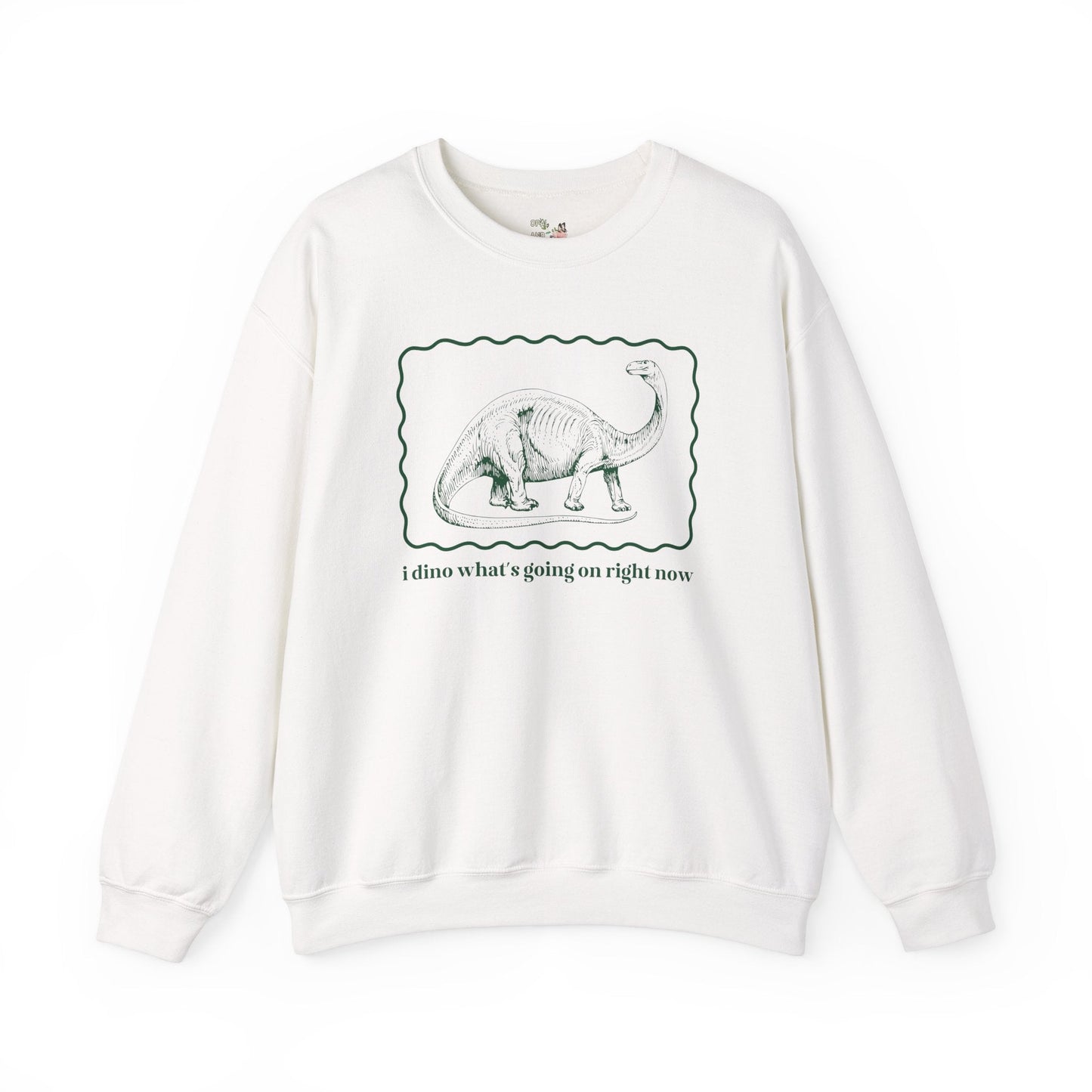 Funny Dinosaur Sweatshirt