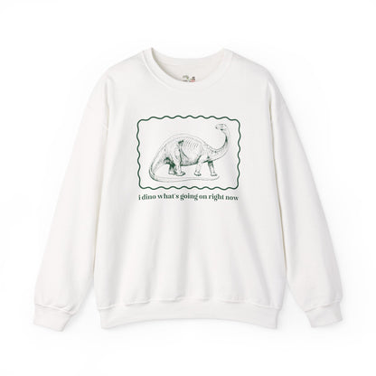 Funny Dinosaur Sweatshirt