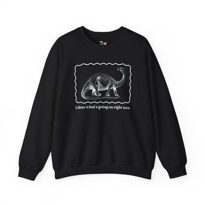 Funny Dinosaur Sweatshirt