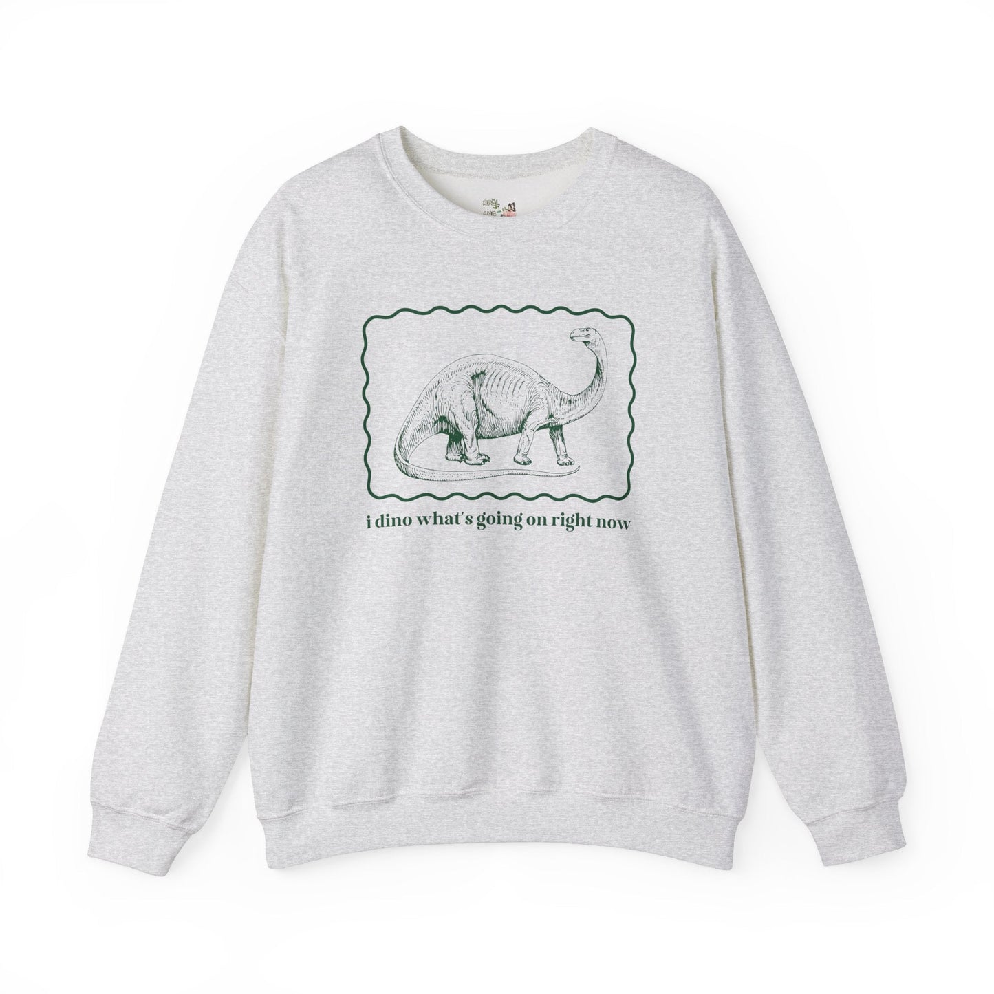 Funny Dinosaur Sweatshirt
