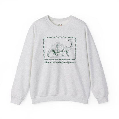 Funny Dinosaur Sweatshirt