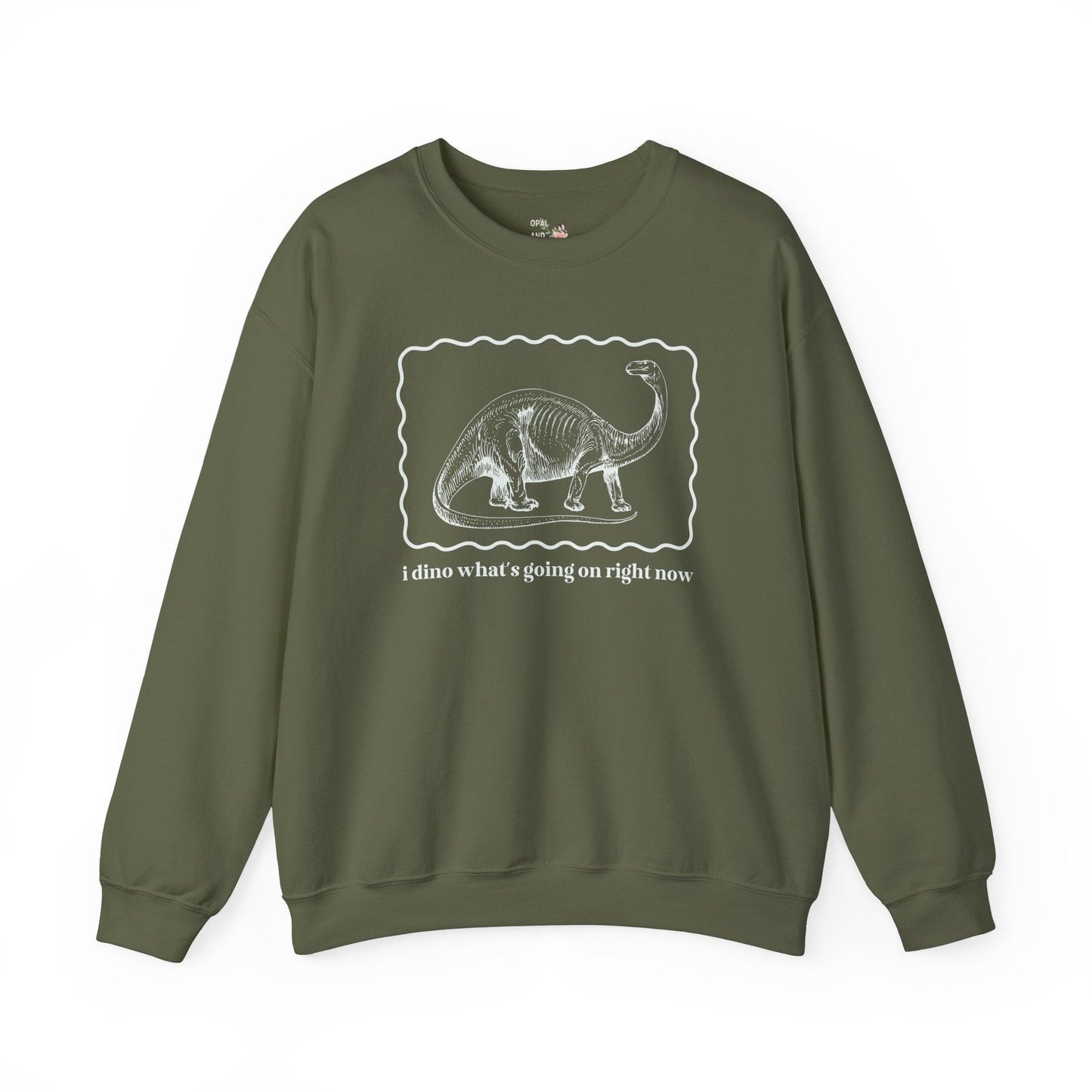 Funny Dinosaur Sweatshirt