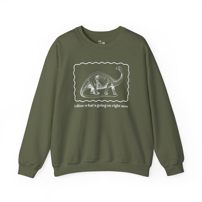 Funny Dinosaur Sweatshirt