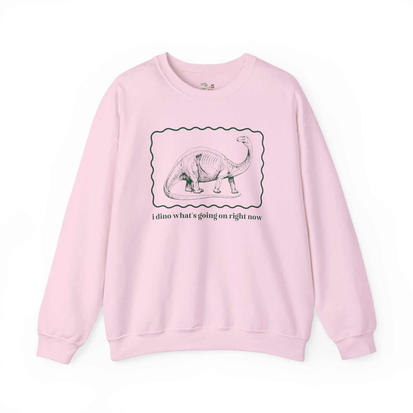 Funny Dinosaur Sweatshirt
