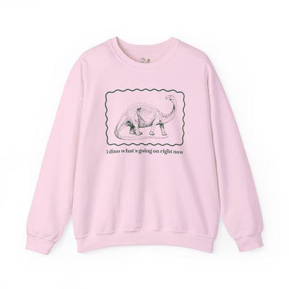 Funny Dinosaur Sweatshirt
