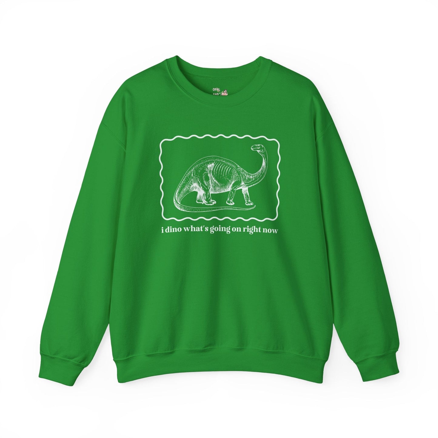 Funny Dinosaur Sweatshirt