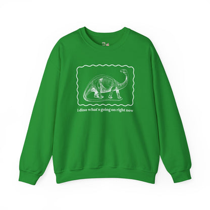 Funny Dinosaur Sweatshirt