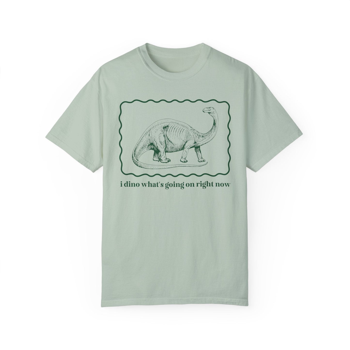 Funny Dinosaur Tee Shirt for Birthday Party