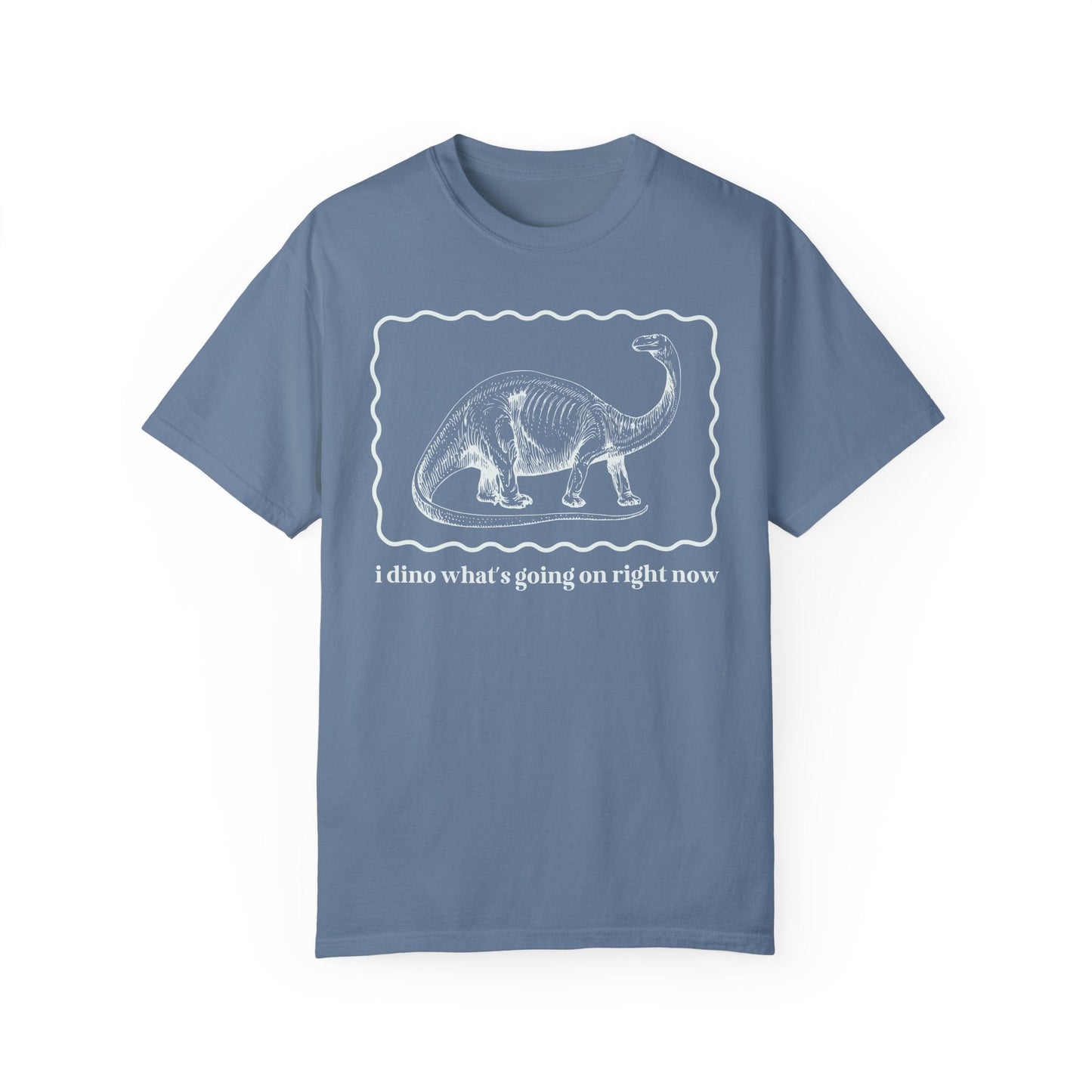 Funny Dinosaur Tee Shirt for Birthday Party