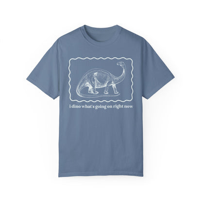 Funny Dinosaur Tee Shirt for Birthday Party