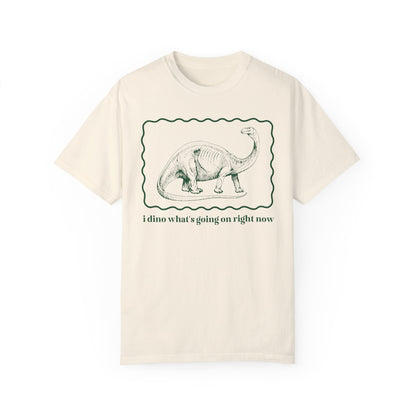 Funny Dinosaur Tee Shirt for Birthday Party