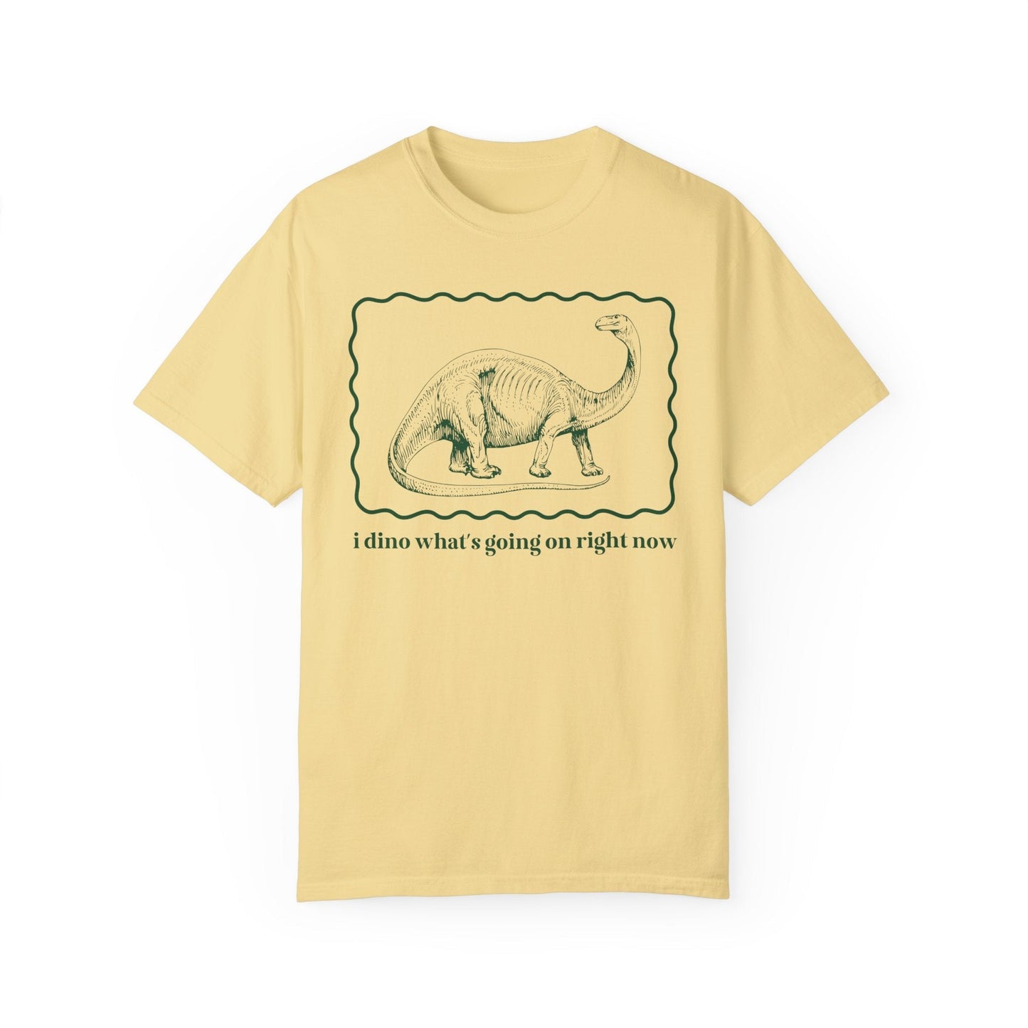 Funny Dinosaur Tee Shirt for Birthday Party