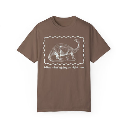 Funny Dinosaur Tee Shirt for Birthday Party