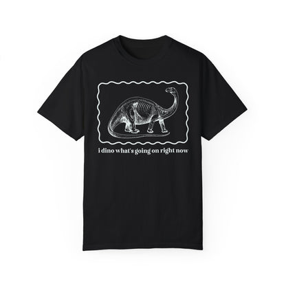 Funny Dinosaur Tee Shirt for Birthday Party
