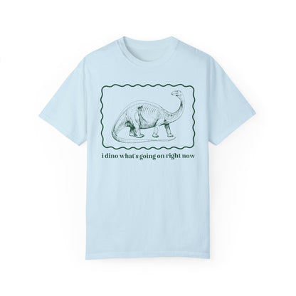 Funny Dinosaur Tee Shirt for Birthday Party