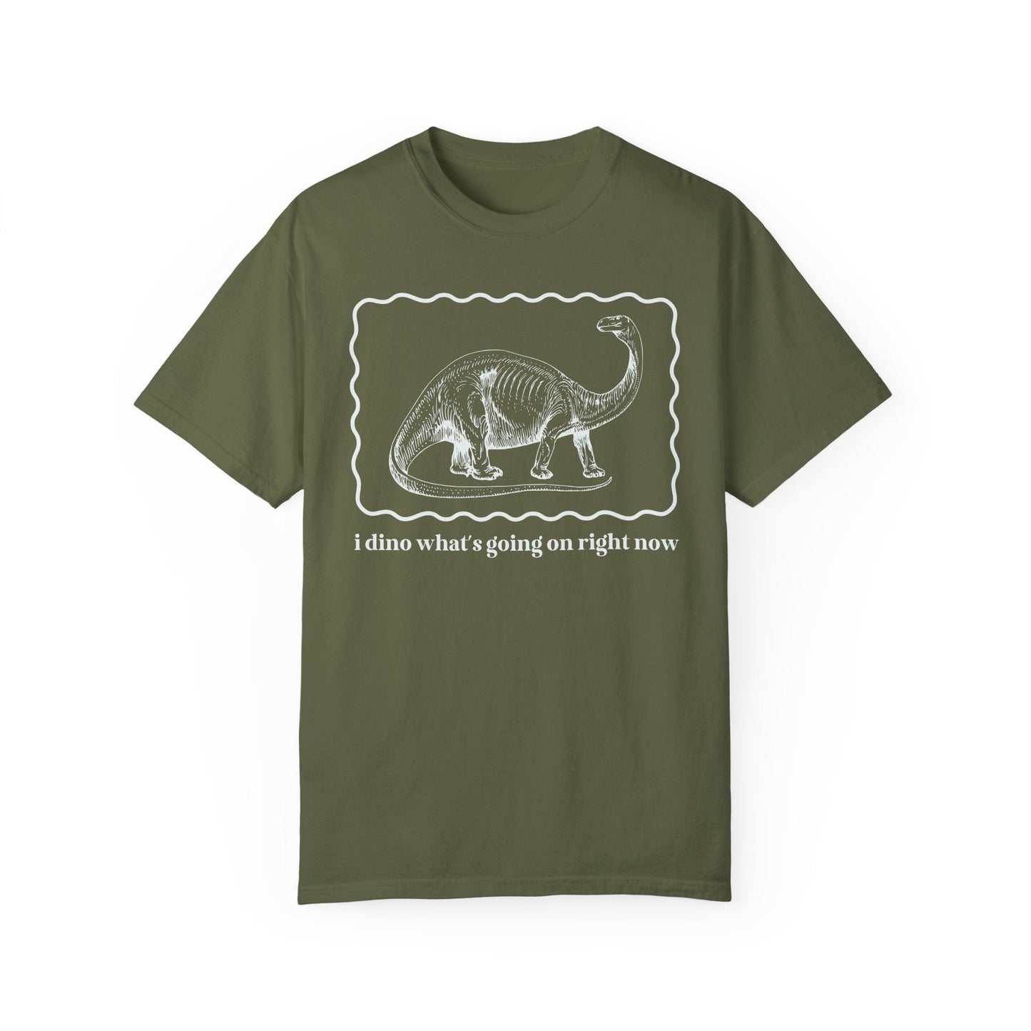 Funny Dinosaur Tee Shirt for Birthday Party