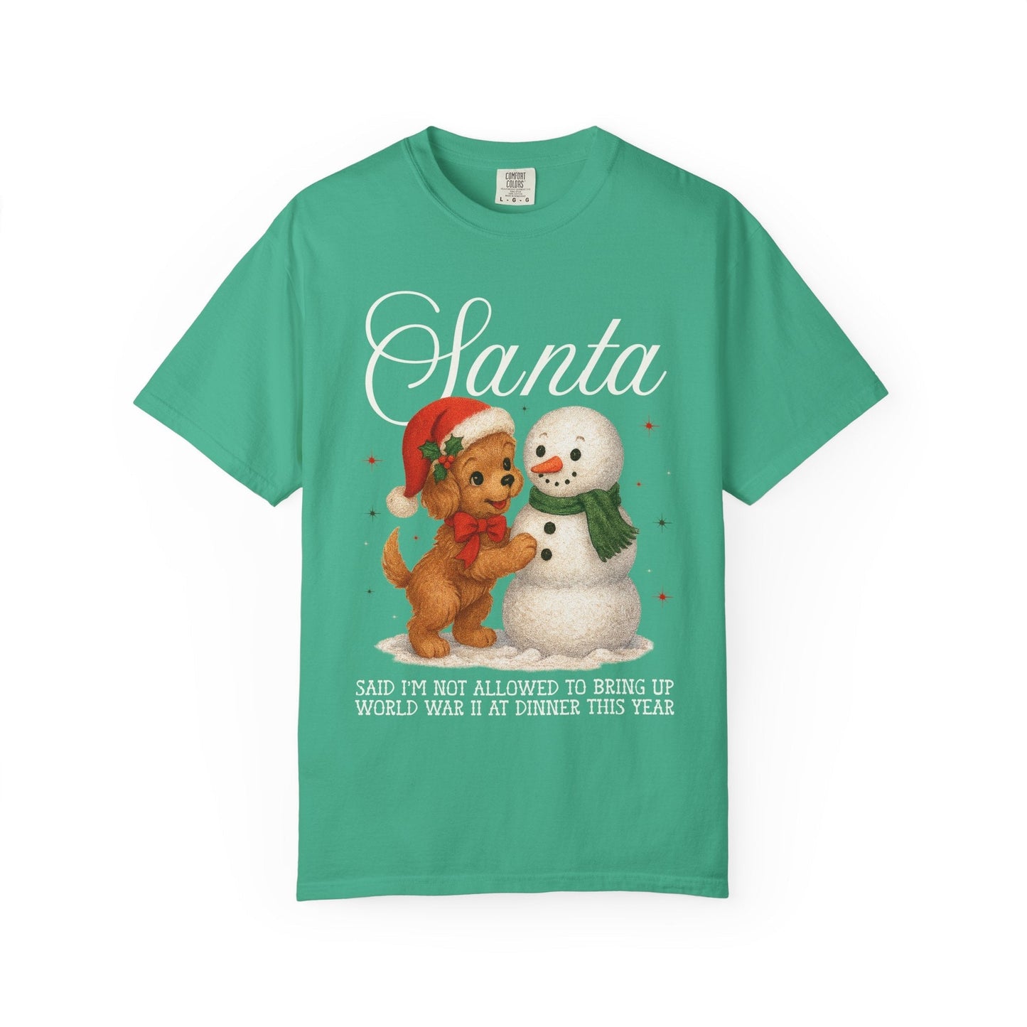 Funny History Lover Christmas Tee Shirt