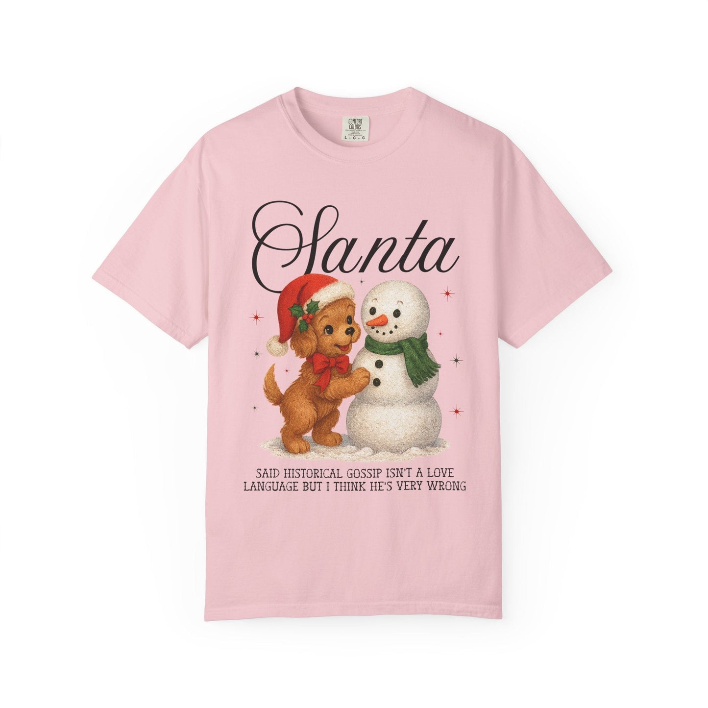 Funny History Lover Christmas Tee Shirt