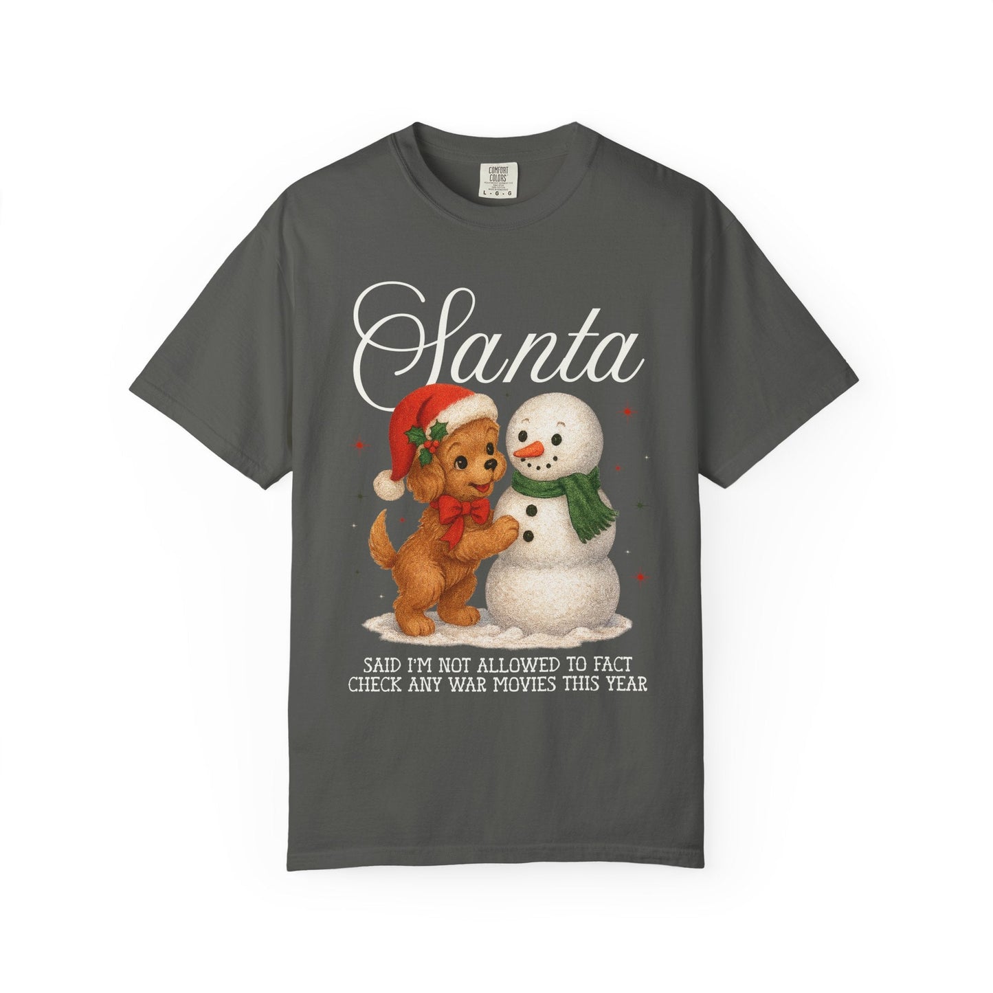 Funny History Lover Christmas Tee Shirt