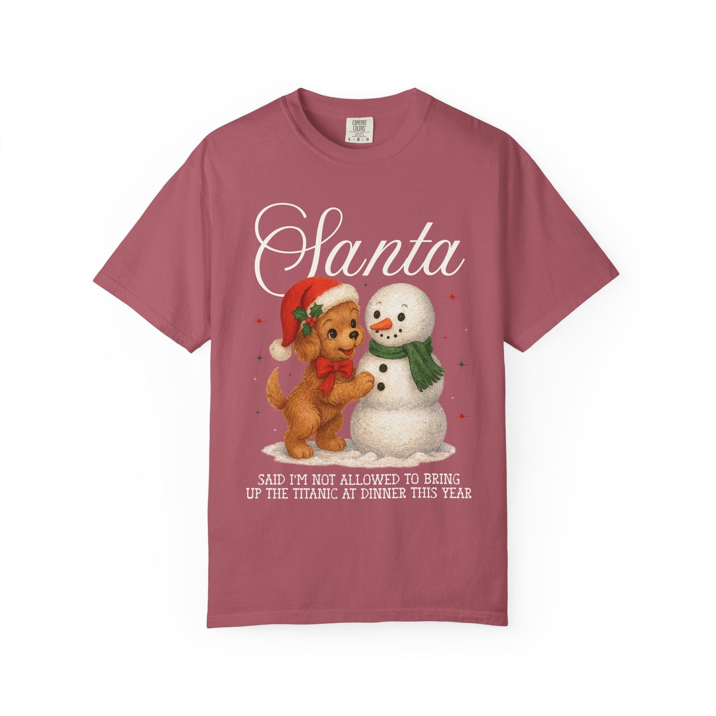 Funny History Lover Christmas Tee Shirt