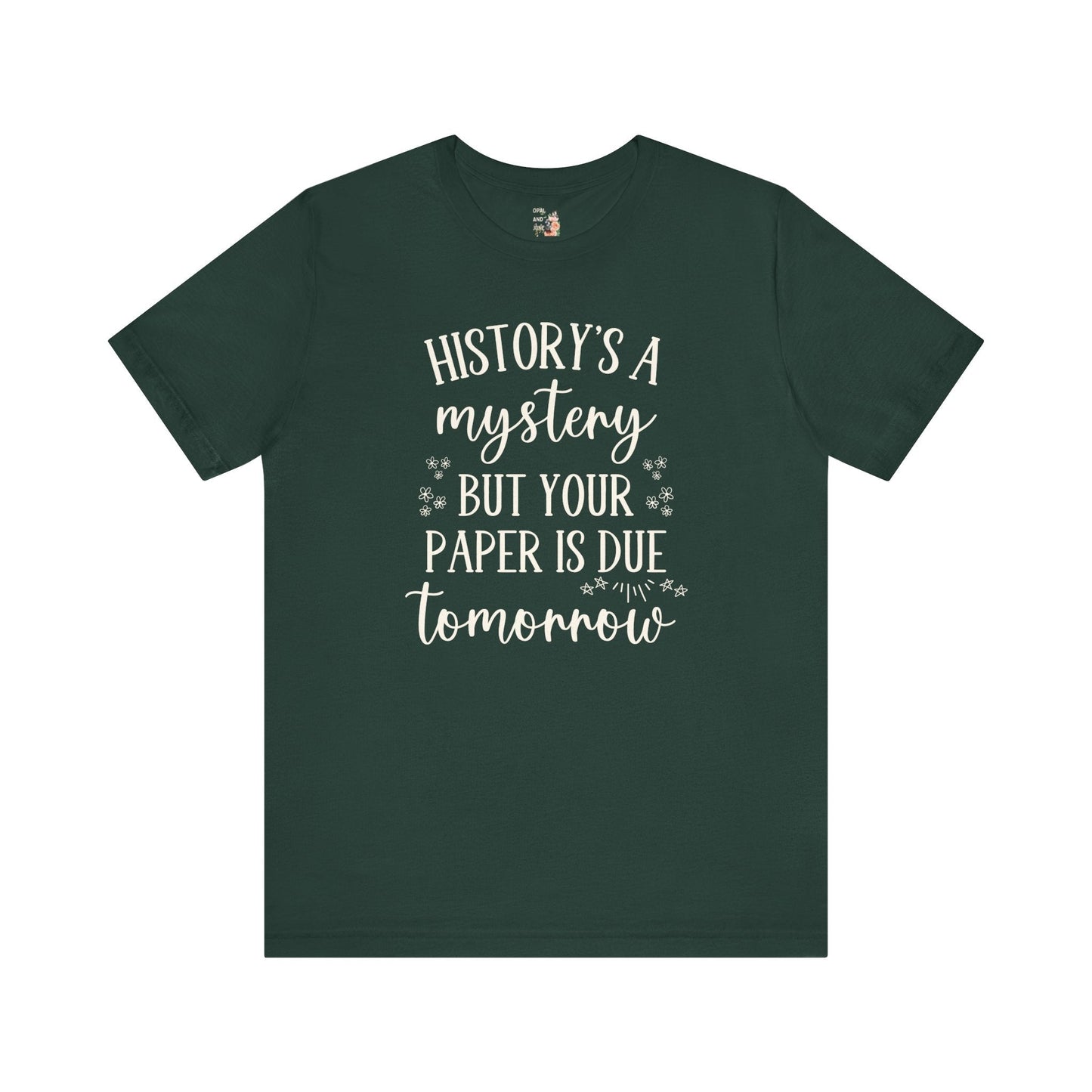 Funny History Teacher Shirt