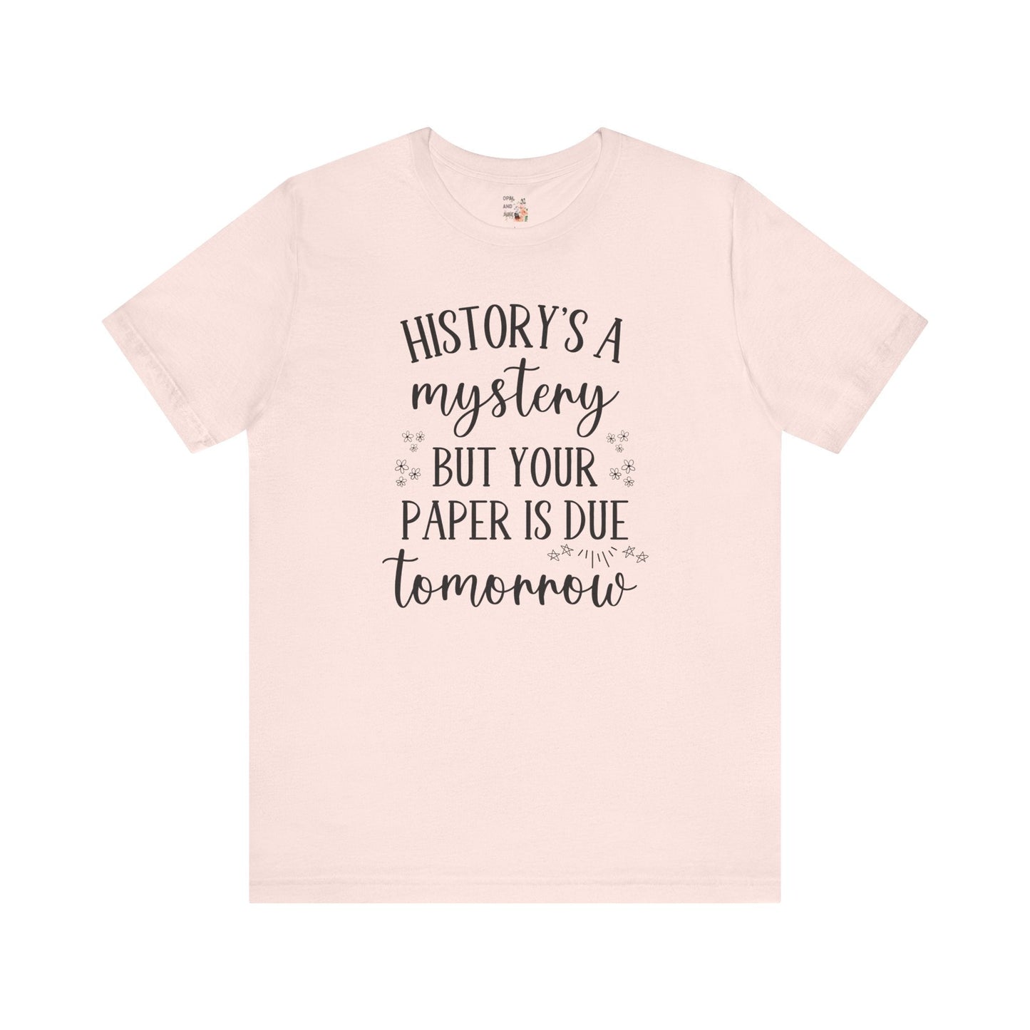 Funny History Teacher Shirt