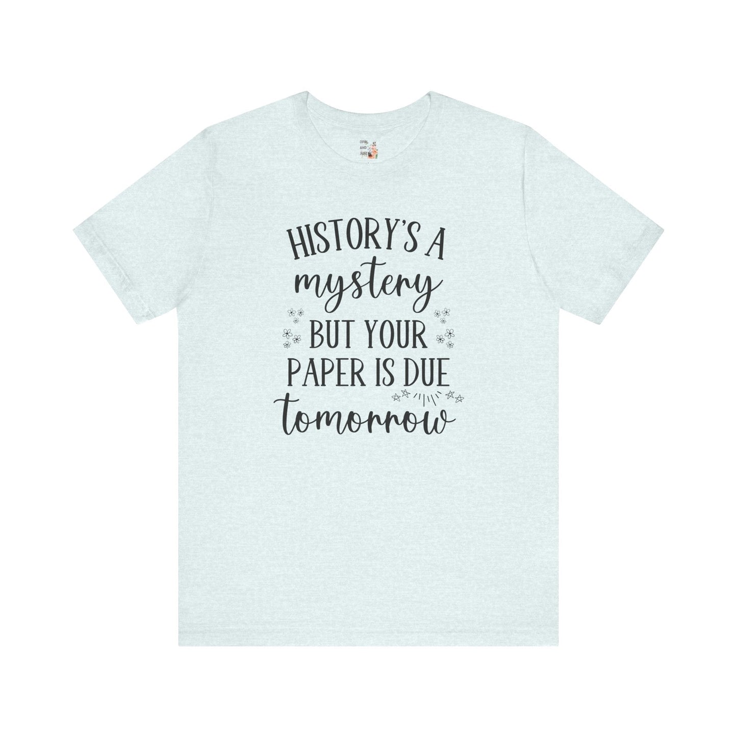 Funny History Teacher Shirt