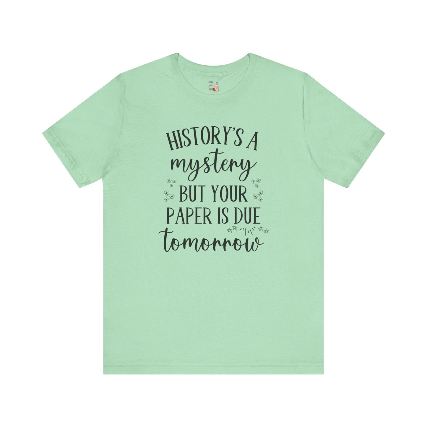 Funny History Teacher Shirt