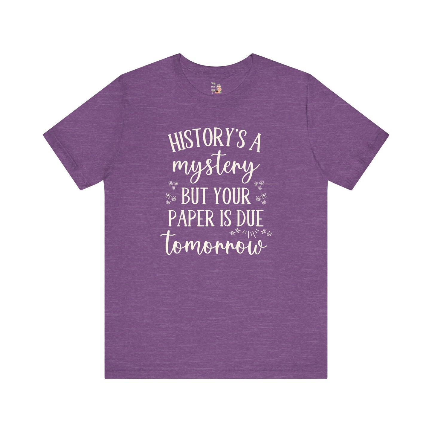 Funny History Teacher Shirt