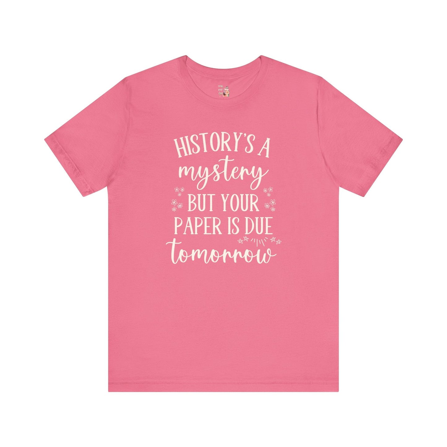 Funny History Teacher Shirt