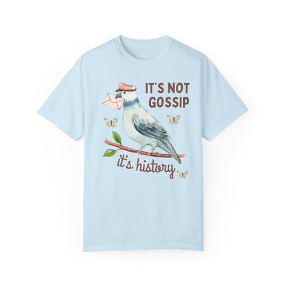 Funny History Tee Shirt for Social Studies Teacher