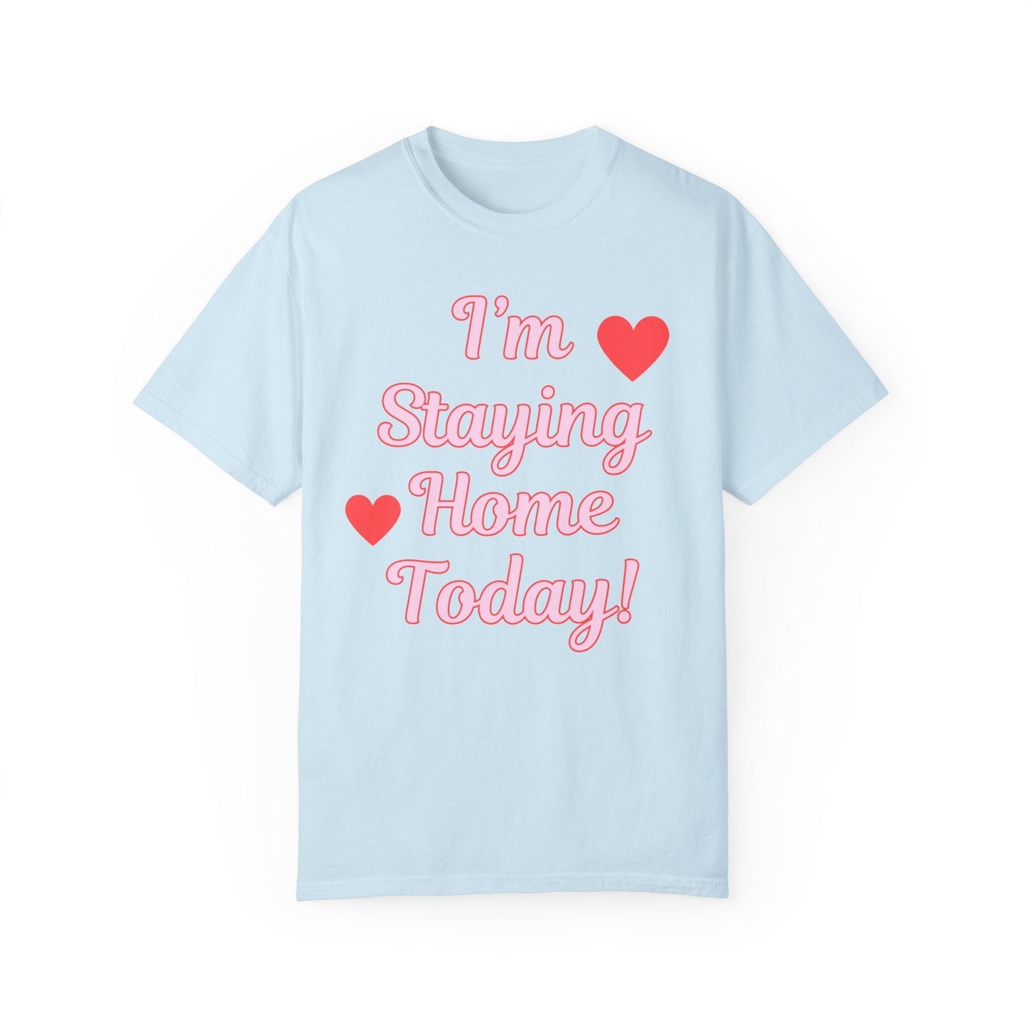 Funny Homebody Tee Shirt
