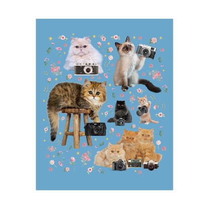 Cats with Camera Poster