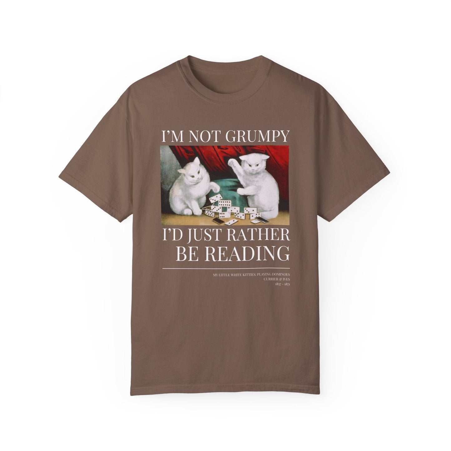 Funny Reading Shirt for Cat Lover