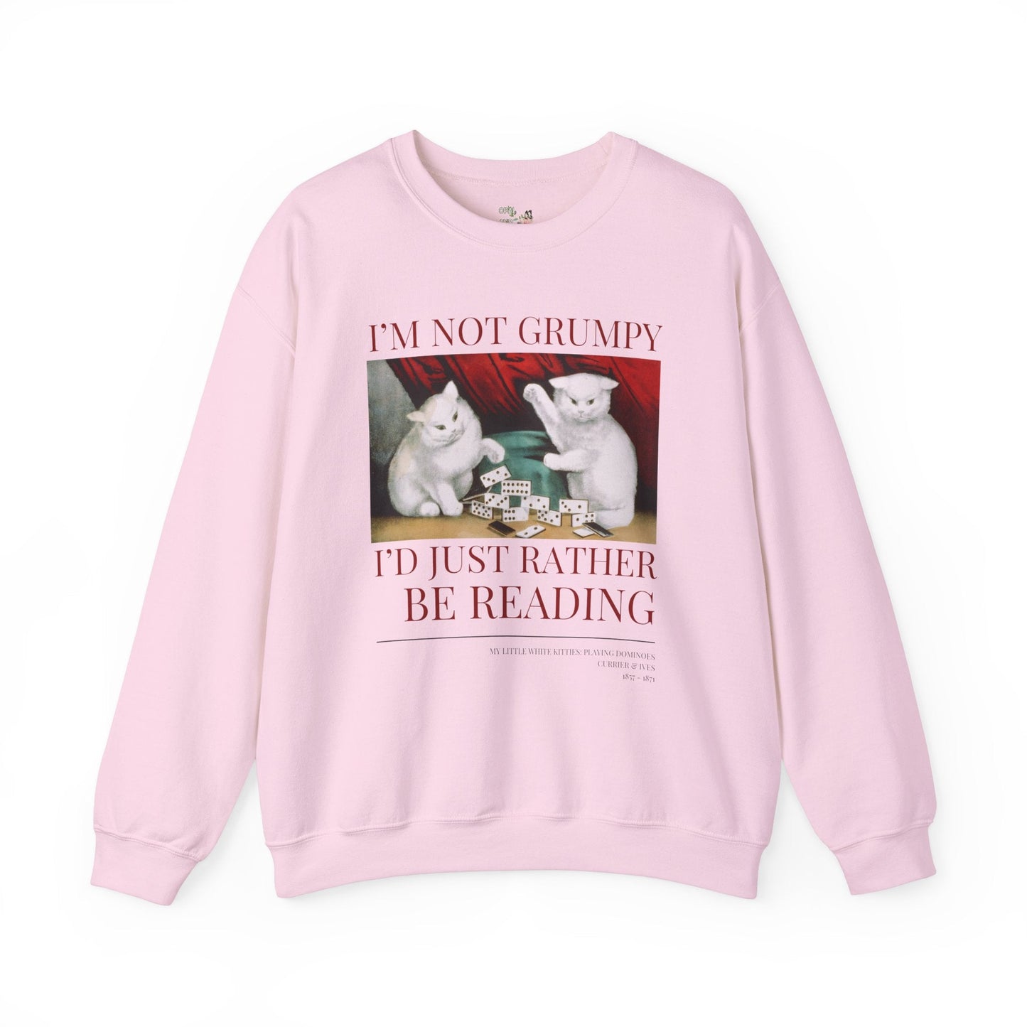 Funny Reading Sweatshirt