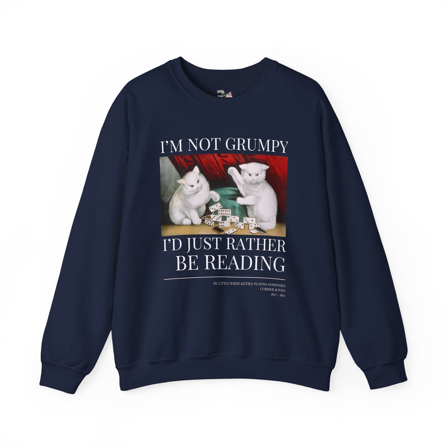 Funny Reading Sweatshirt