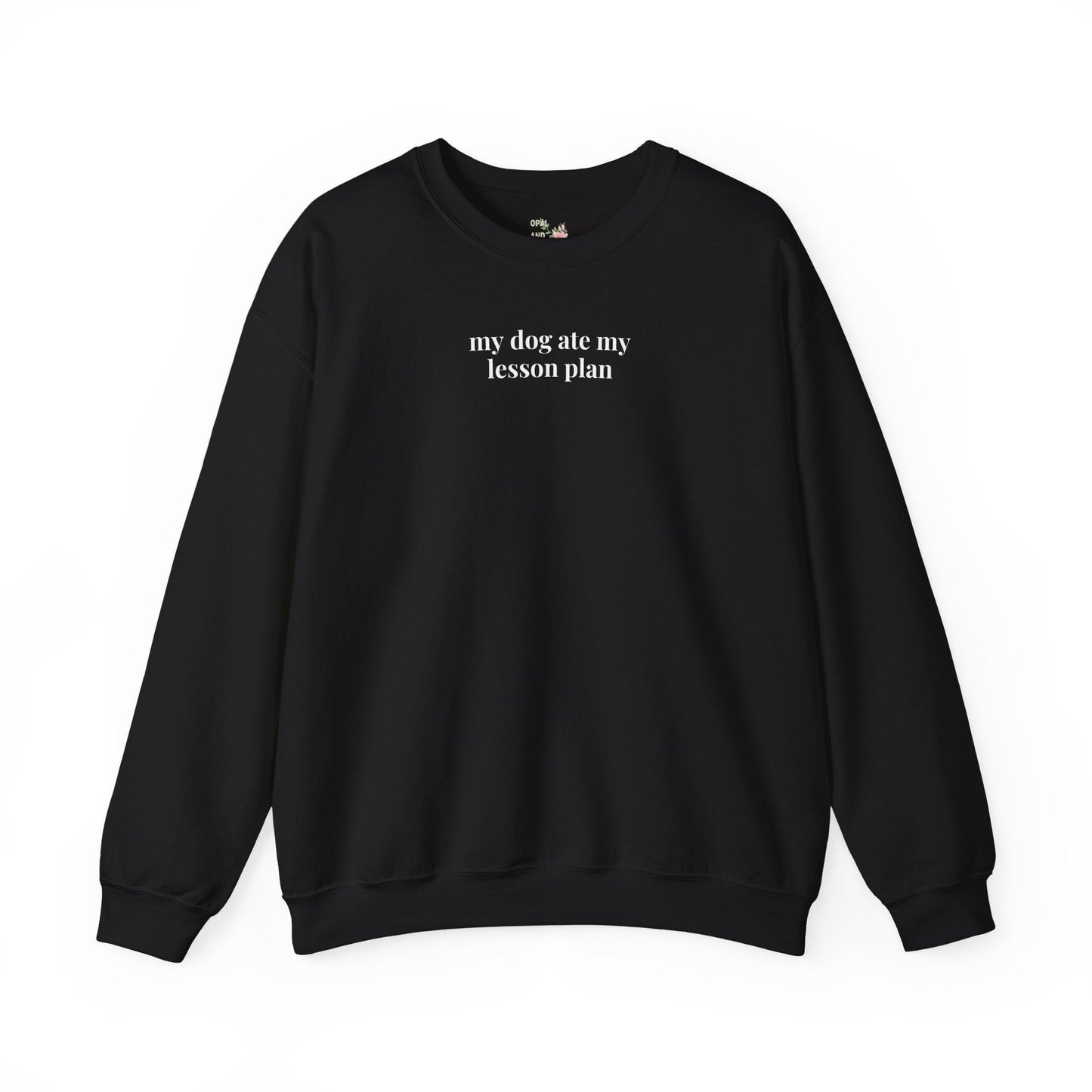 Funny Teacher Sweatshirt for Dog Lover