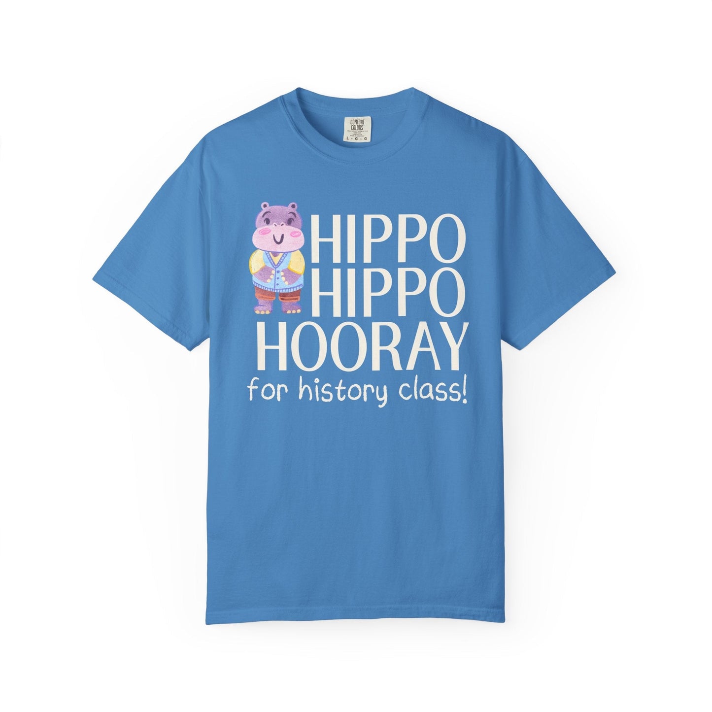 Hippo: History Class