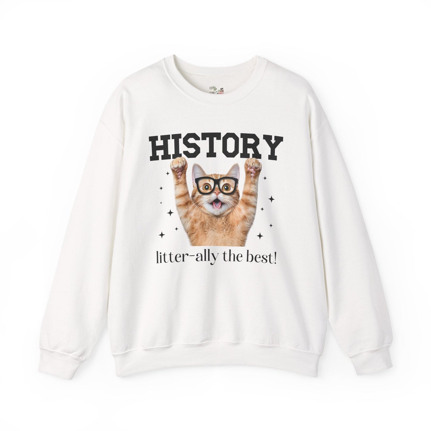 History Teacher Cat Lover