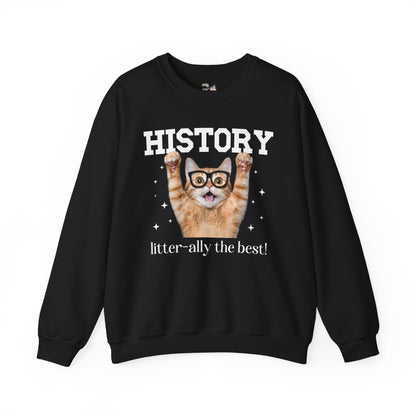 History Teacher Cat Lover