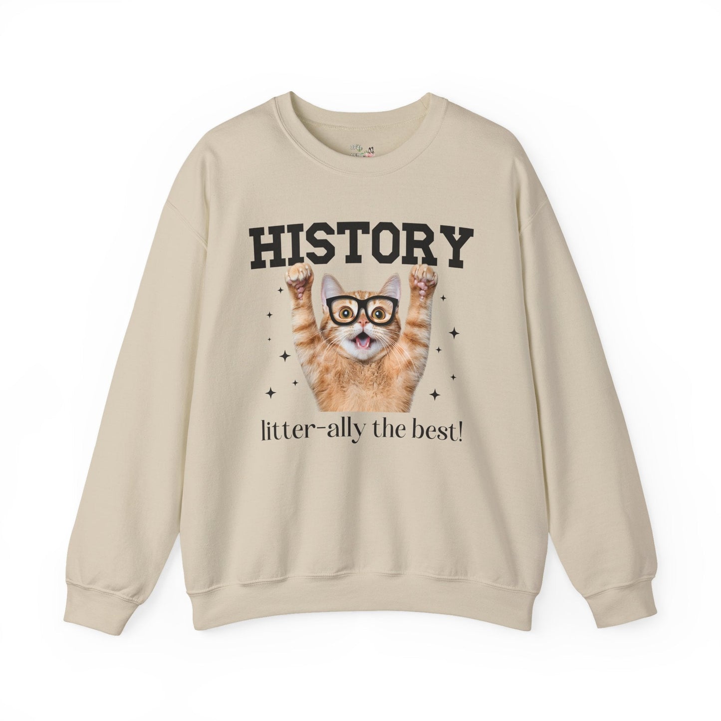 History Teacher Cat Lover